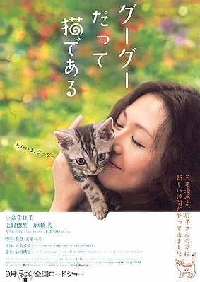 Кот по имени Гу-Гу - главный постер